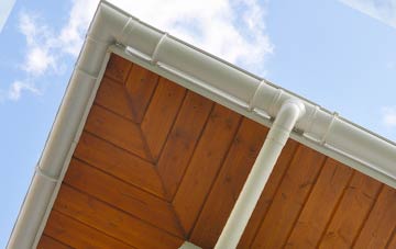 Ashridge Court soffit types